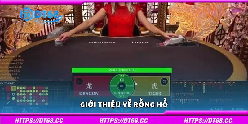 Đôi nét về trò chơi Rồng Hổ