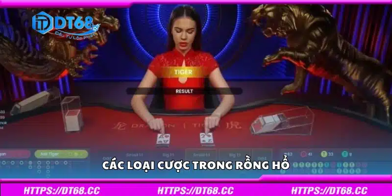 Một số loại cược trong Rồng Hổ