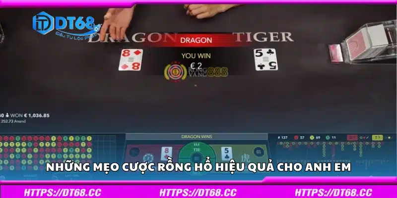 Mẹo cược Rồng Hổ hiệu quả cho anh em